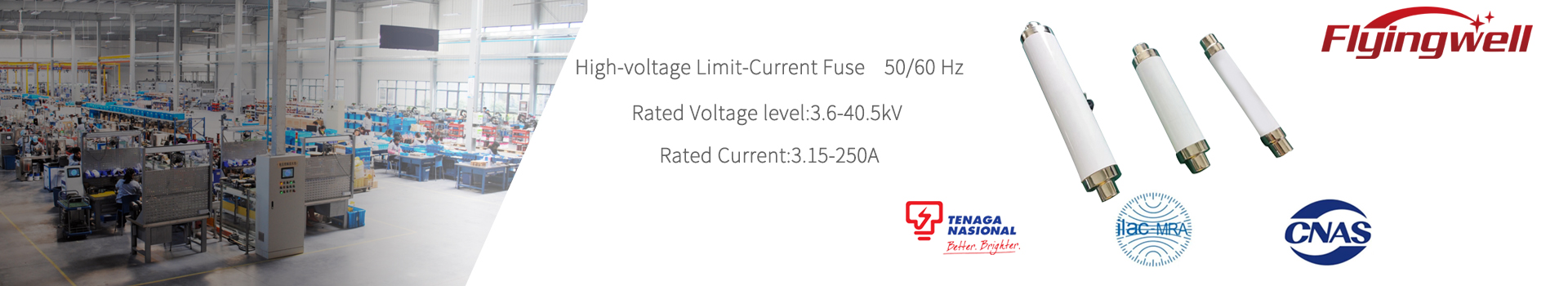 Limited-Current Fuse