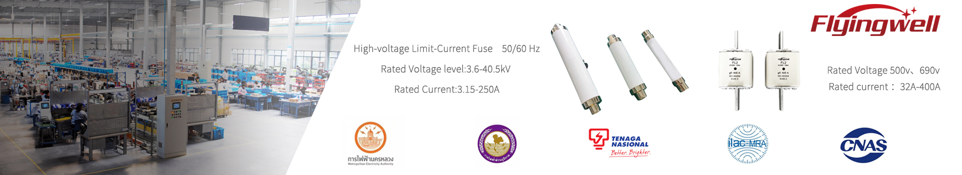 Limited-Current Fuse